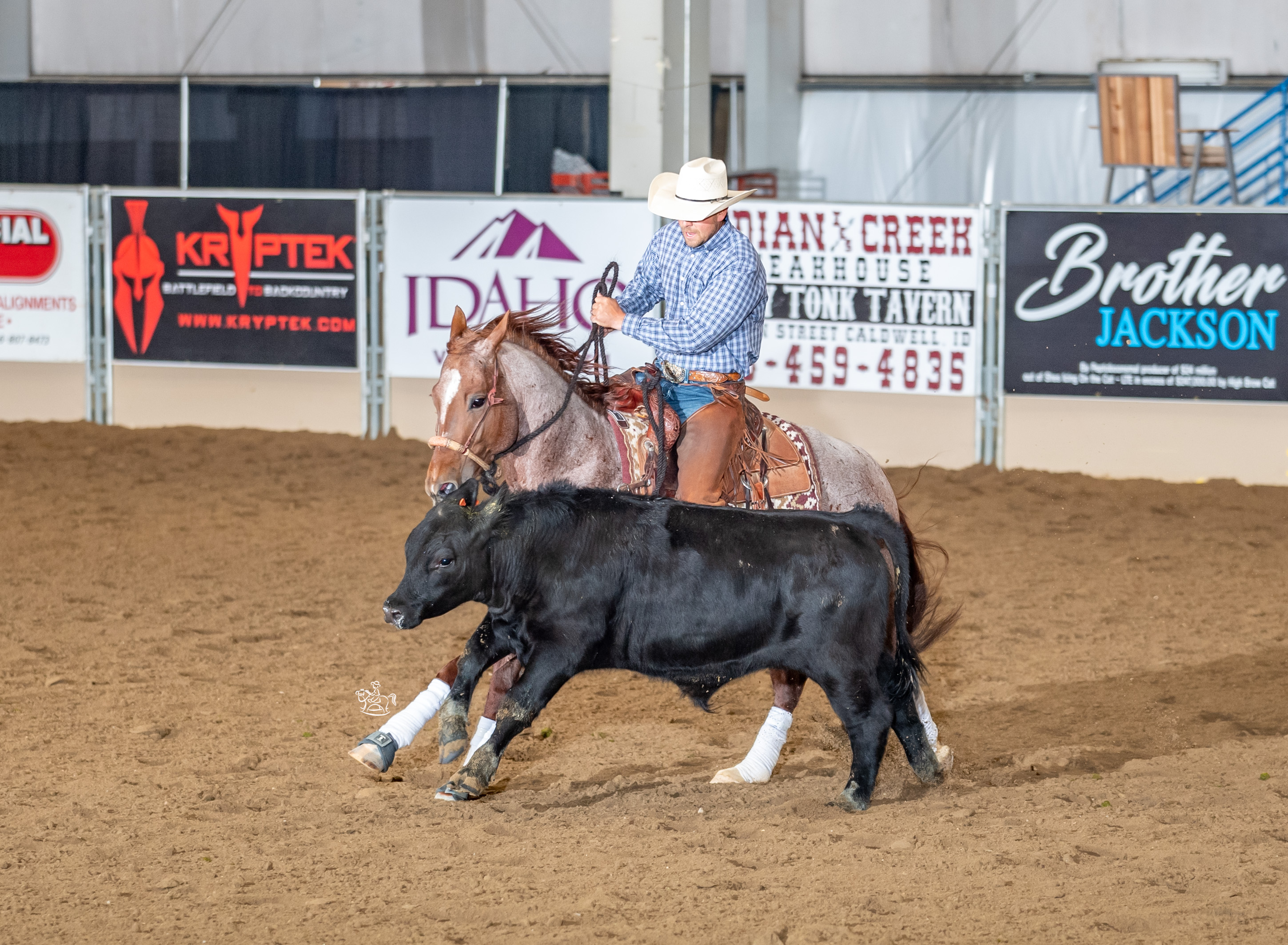 Owned by Bernie Kelly; Shown by Clay J Roeser